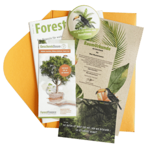 sparbaum forest finance
