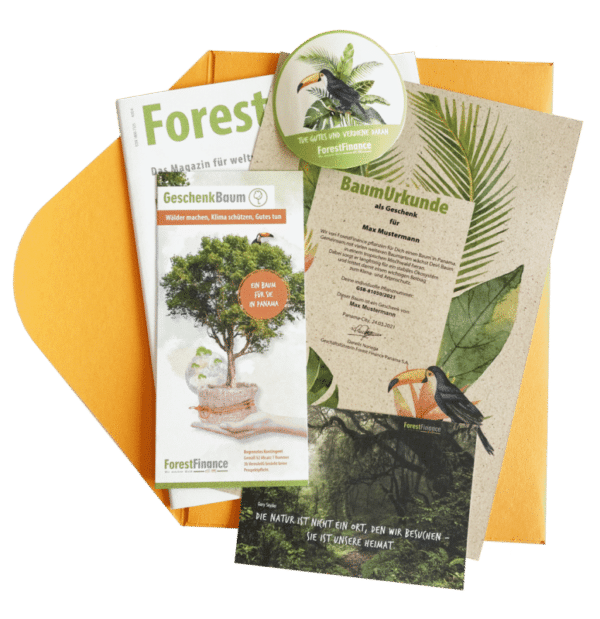 sparbaum forest finance