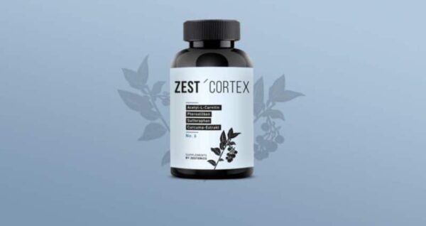 zest cortex zestonics1