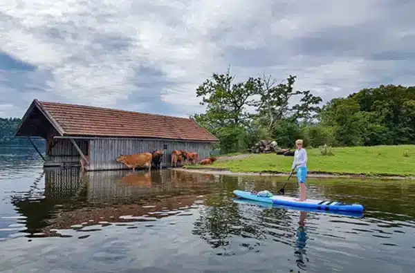 jochen schweizer stand up paddling 8